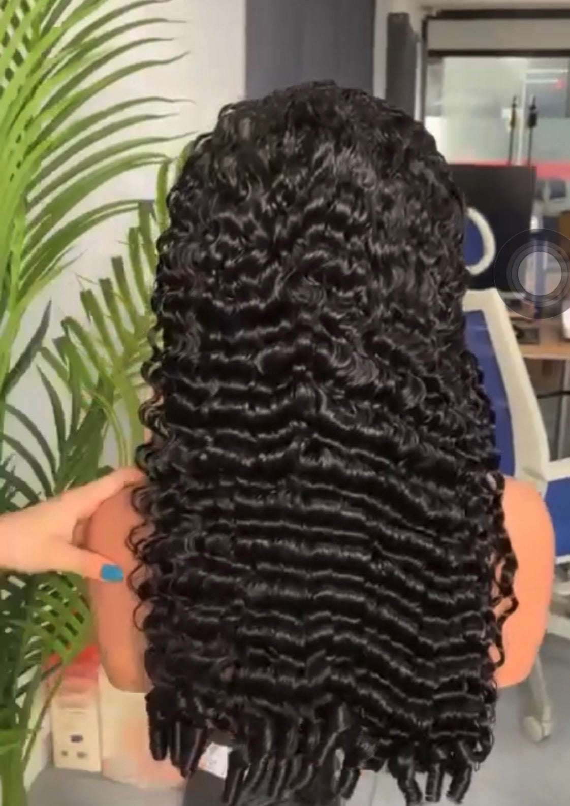 WIG OF THE WEEK